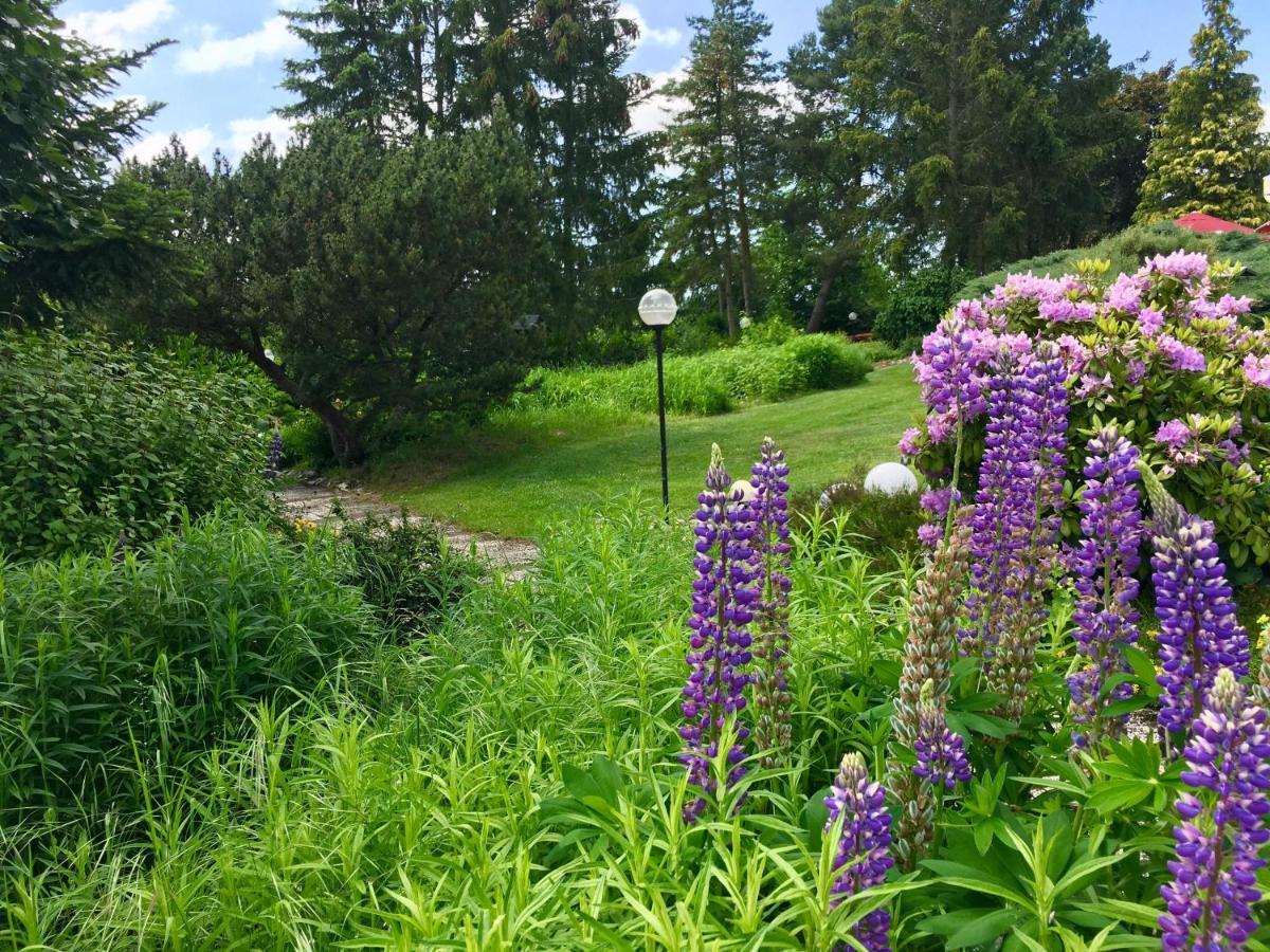 Landhotel Hubertus Unterelsbach Экстерьер фото