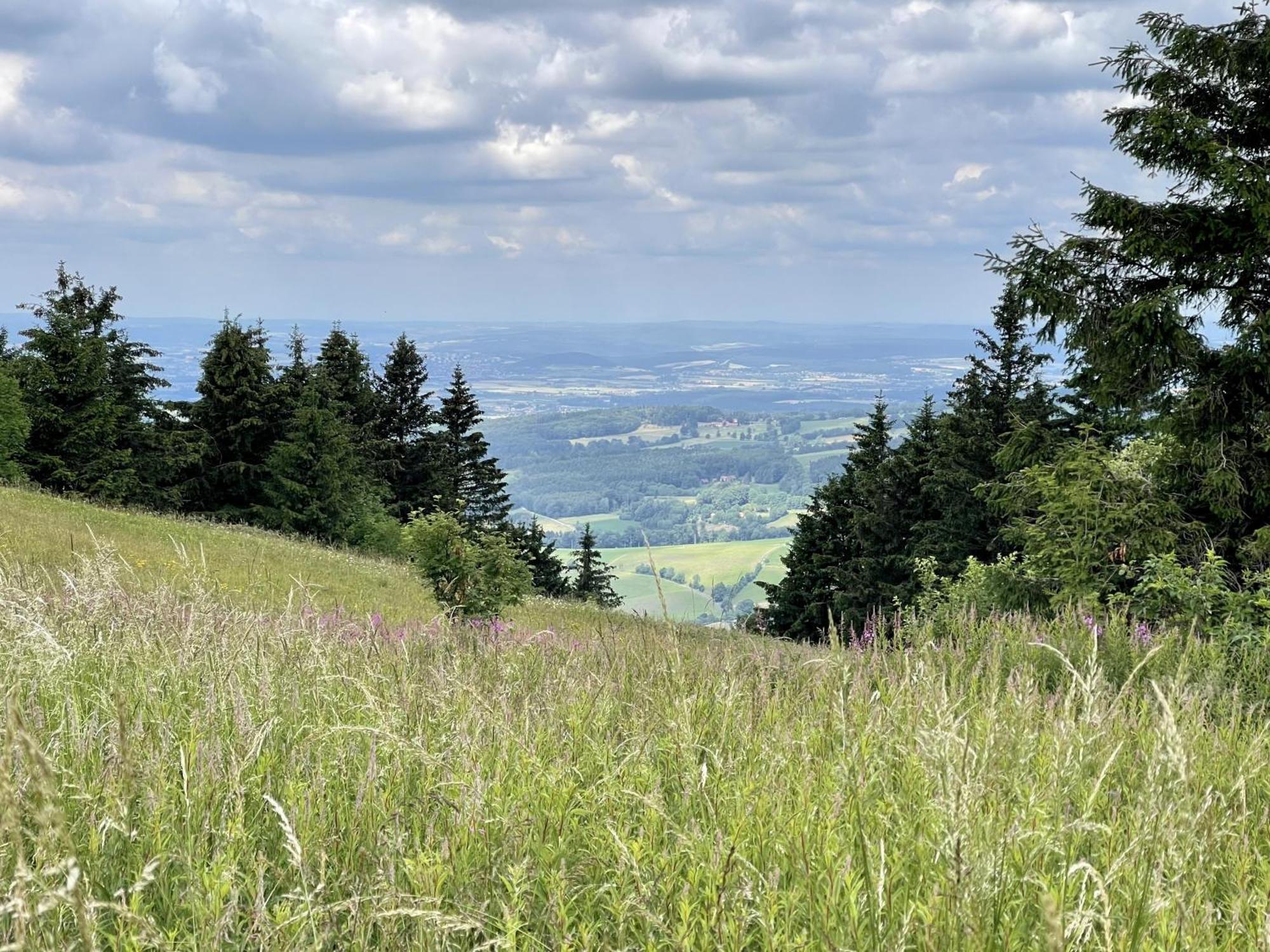 Landhotel Hubertus Unterelsbach Экстерьер фото