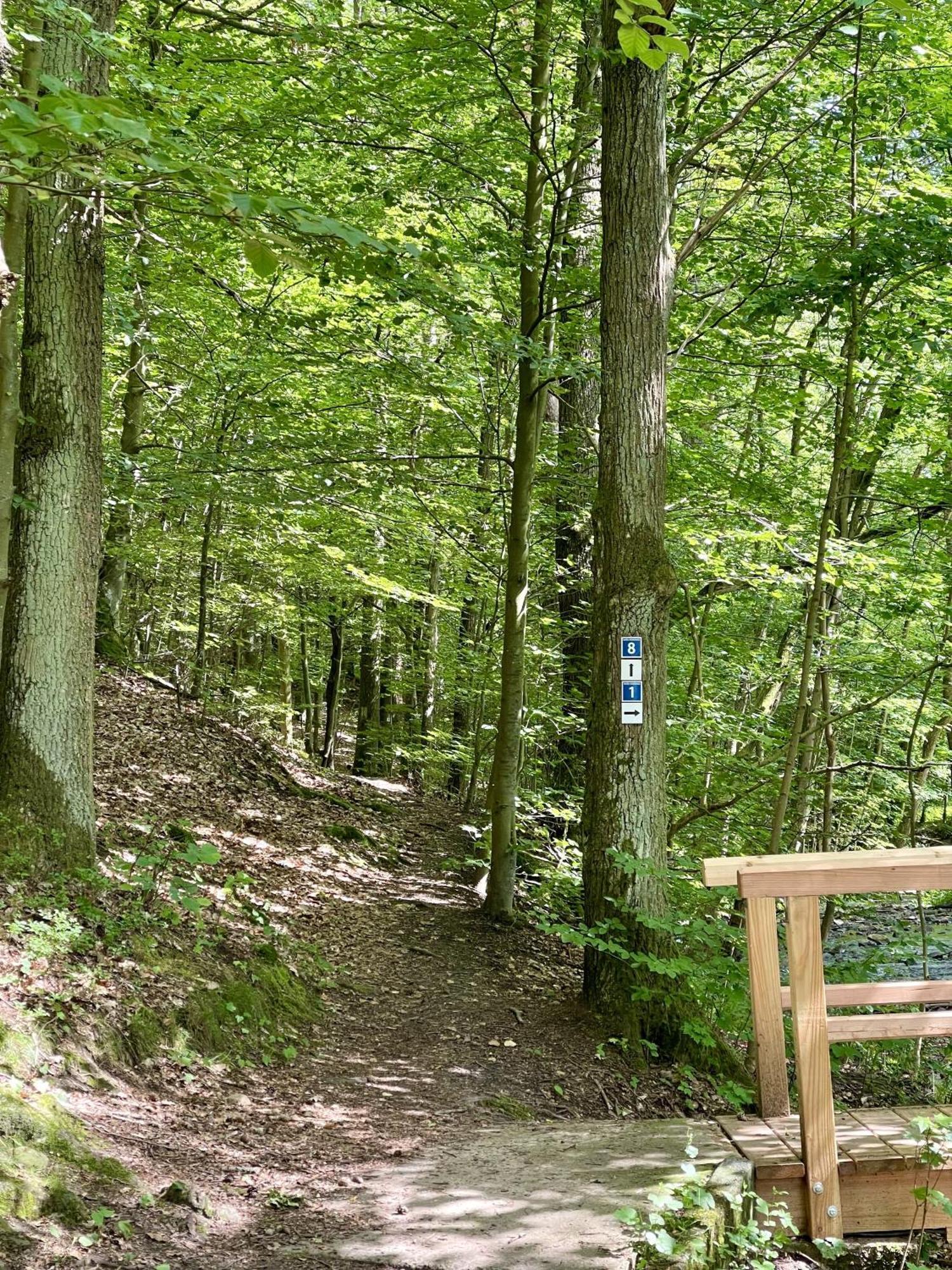 Landhotel Hubertus Unterelsbach Экстерьер фото